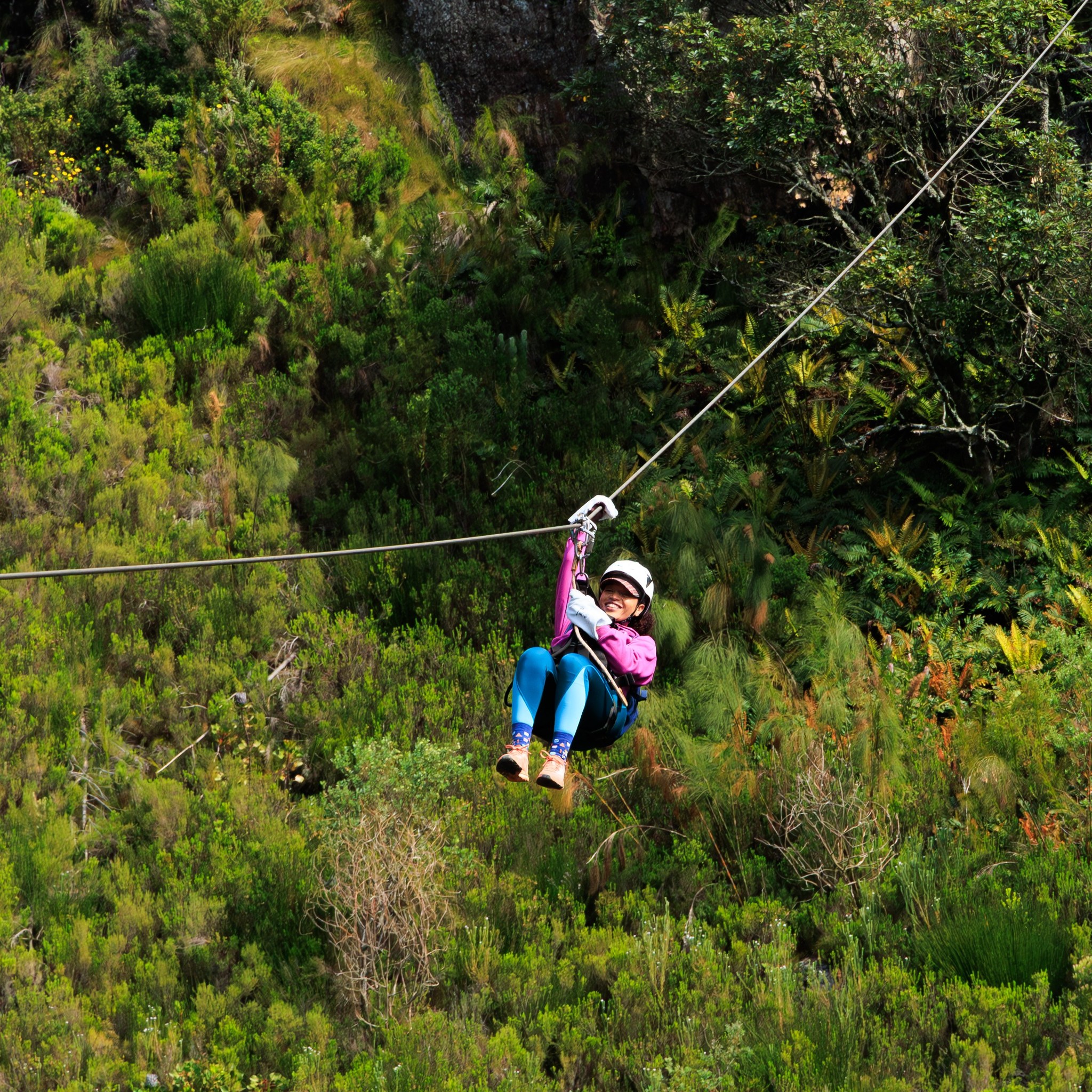 Adrenaline and Adventure