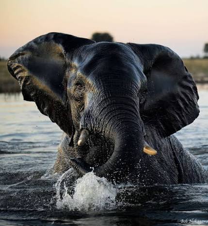 Botswana
